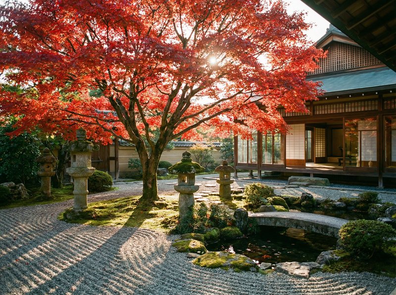 黑料老树视频：千年银杏